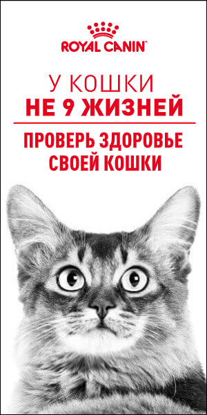 Полотенца